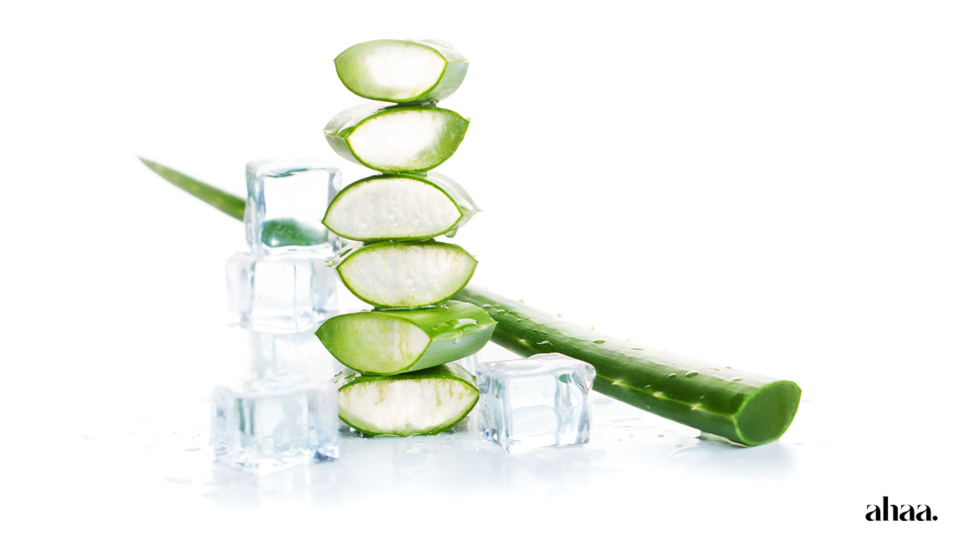 Does Aloe Vera Actually Help Acne - Or Is It Not Enough?